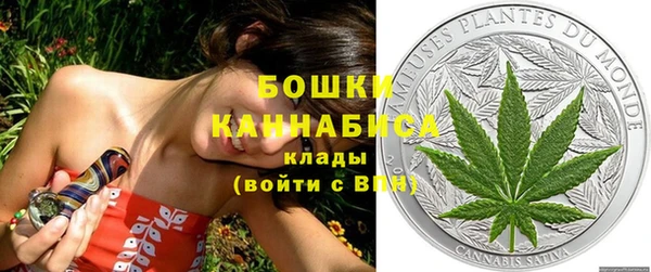 Альфа ПВП Инта