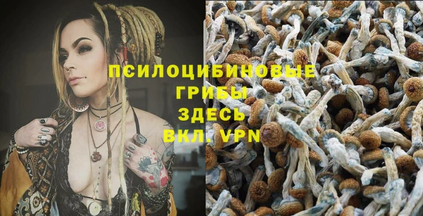 соль ск Иннополис